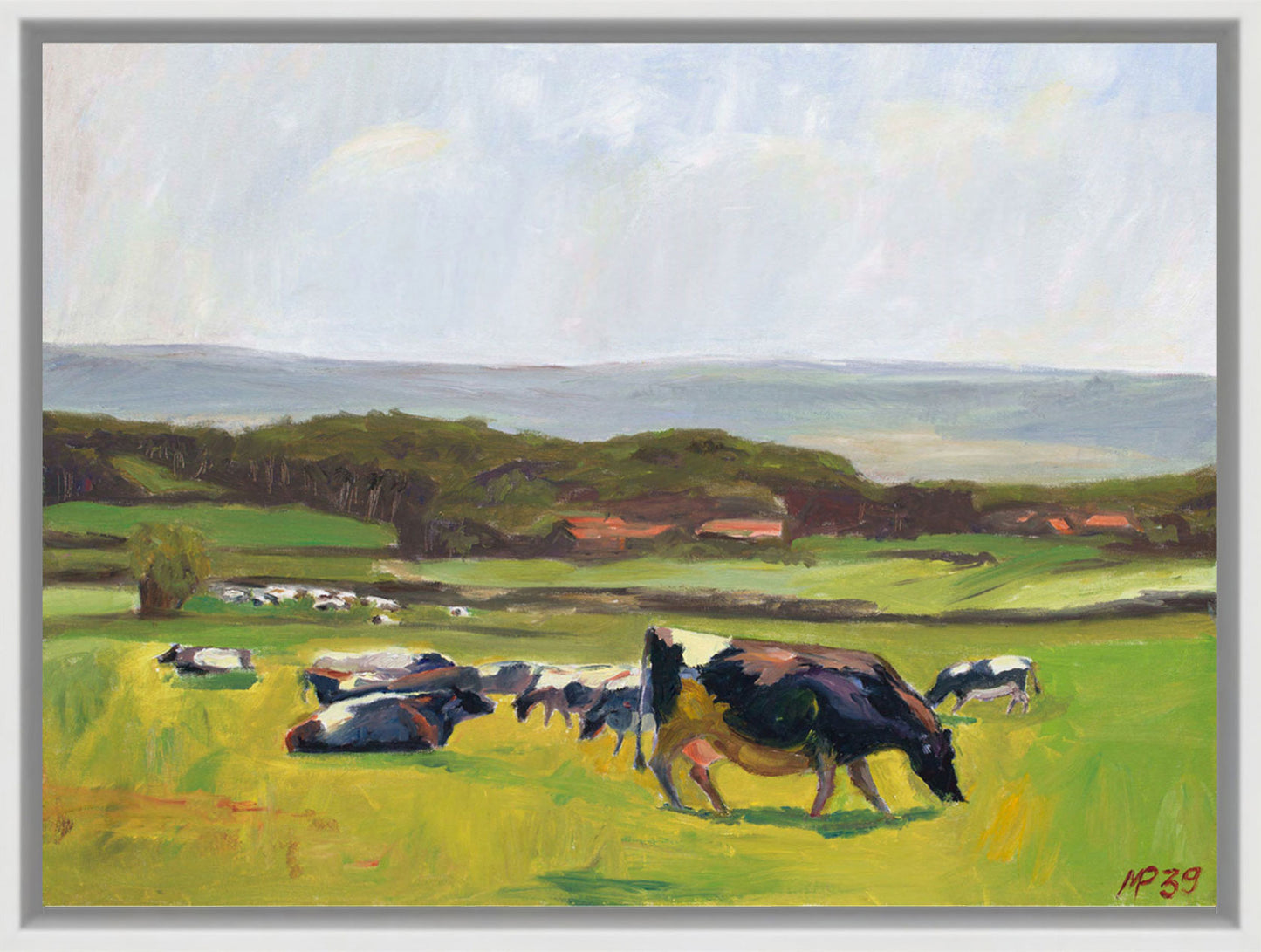 Cows