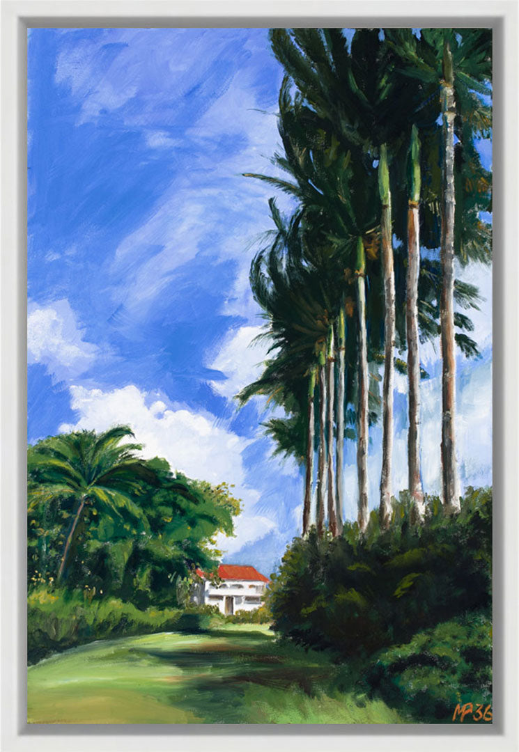Hawai Palms