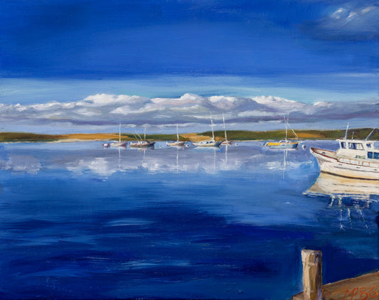 Boats at Morro Bay