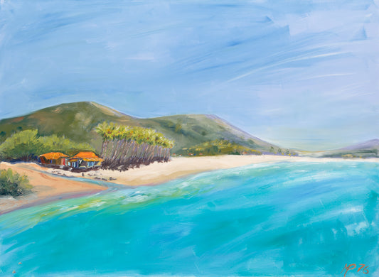 Caribbean Dream