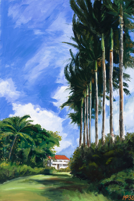 Hawai Palms