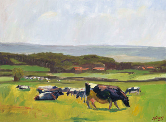 Cows